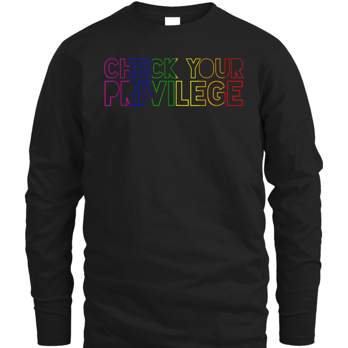 Rainbow Pride Flag Check Your Privilege LGBT Feminist Gay T-Shirt