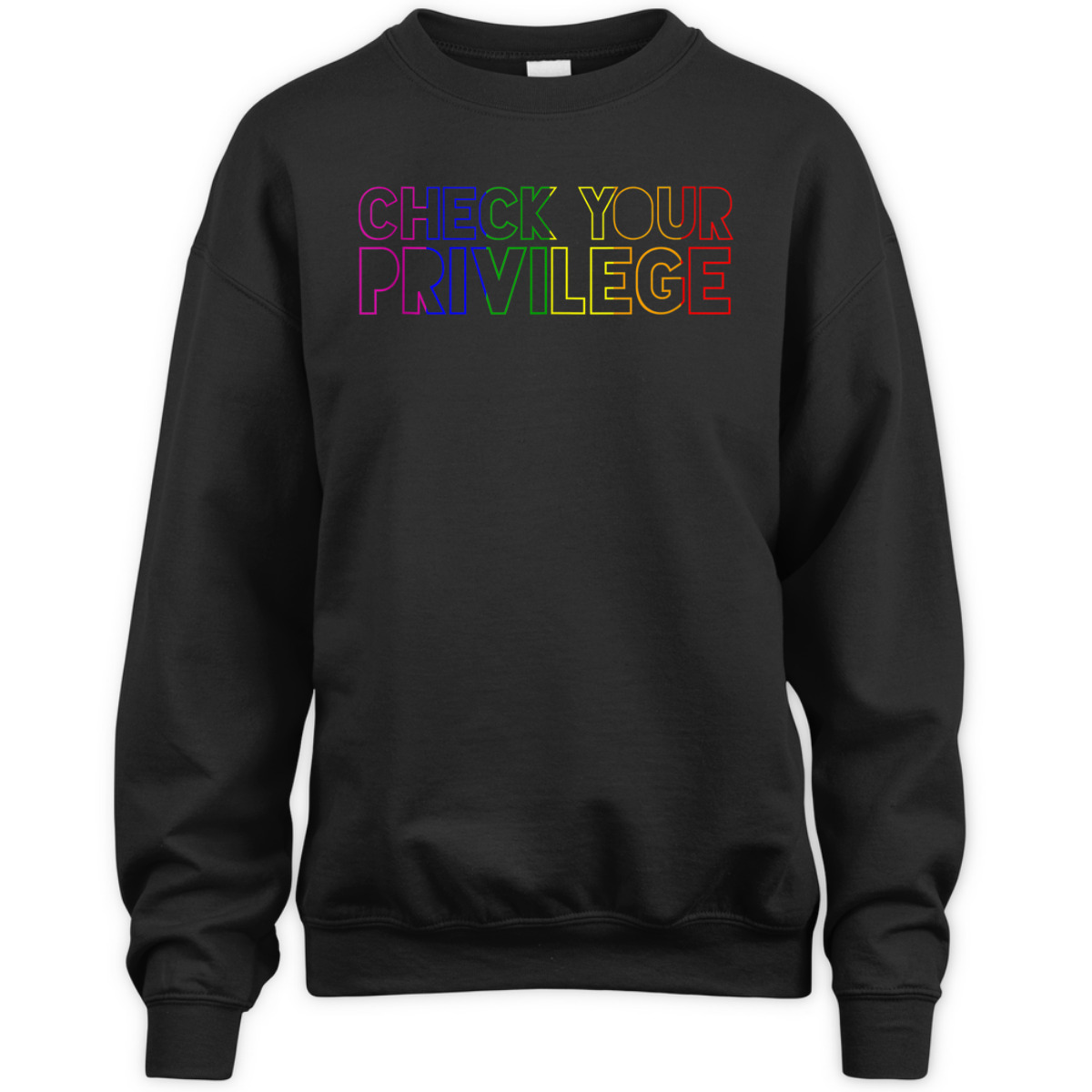Rainbow Pride Flag Check Your Privilege LGBT Feminist Gay T-Shirt