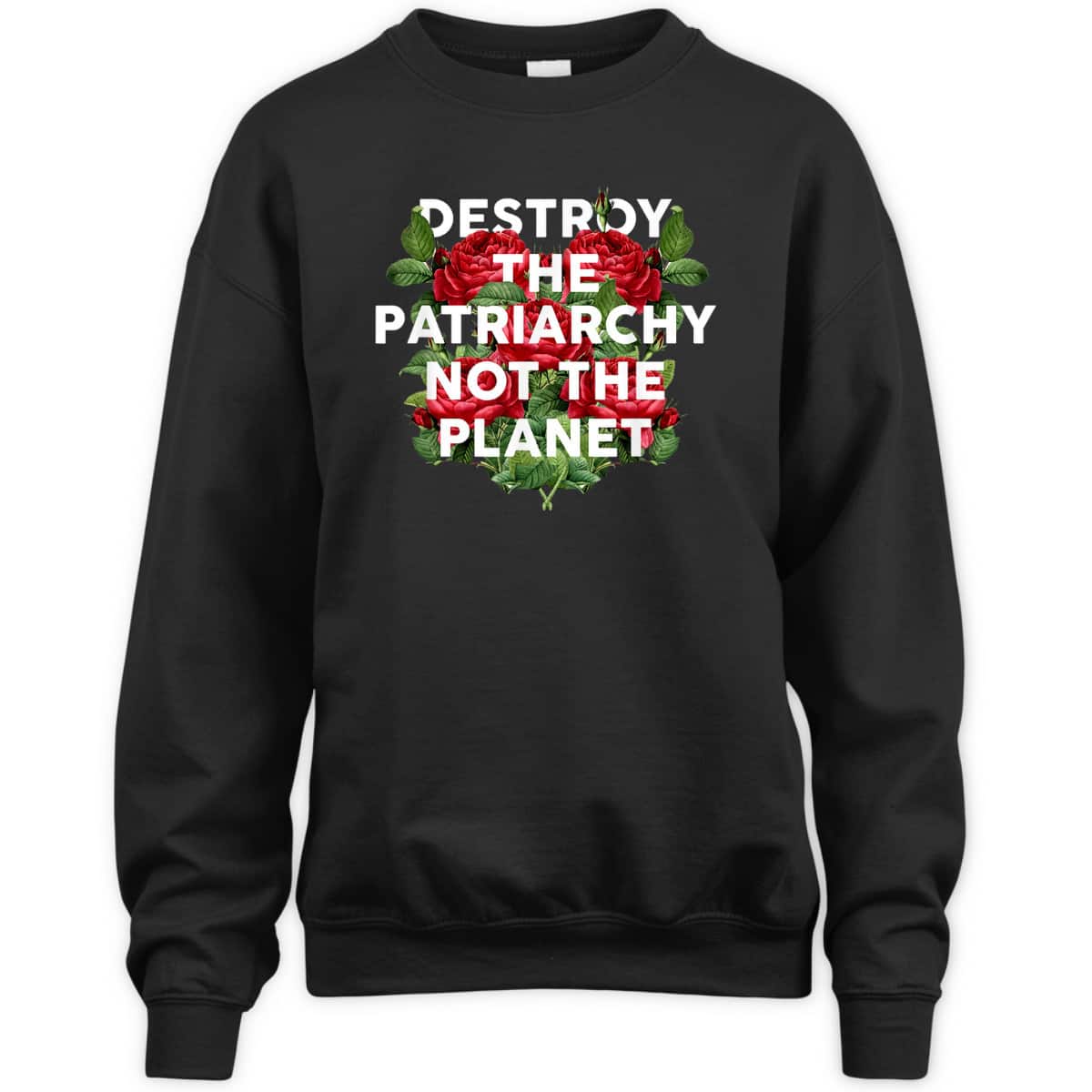 Destroy The Patriarchy Not The Planet Feminist T-Shirt
