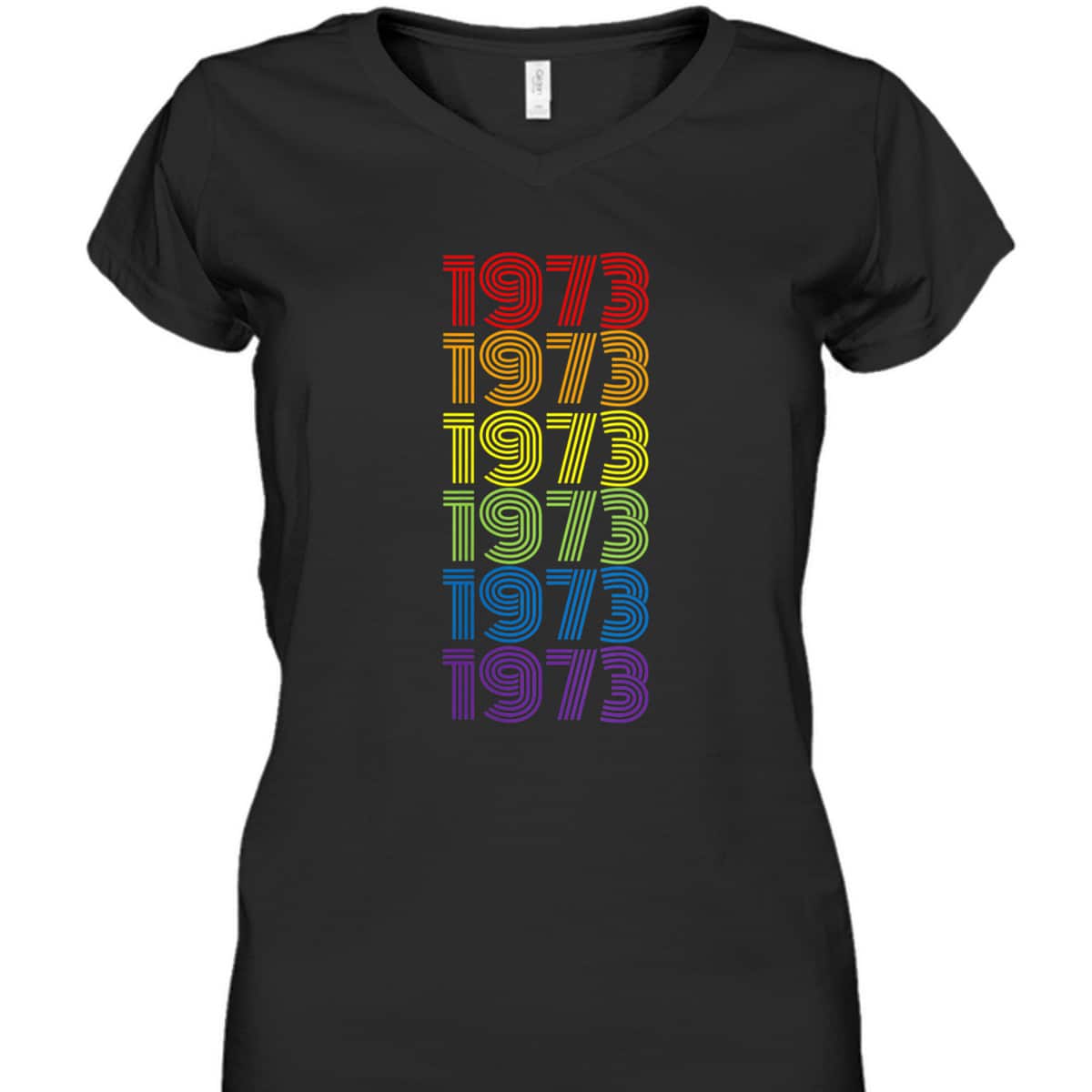 Womens Protect Roe V Wade 1973 Pro-Choice Feminist Retro Rainbow T-Shirt