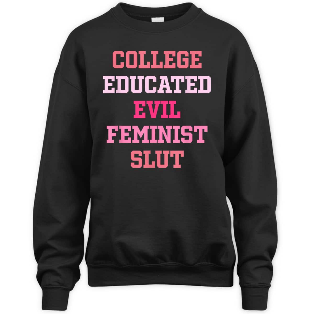 College Educated Evil Feminist Slut T-Shirt