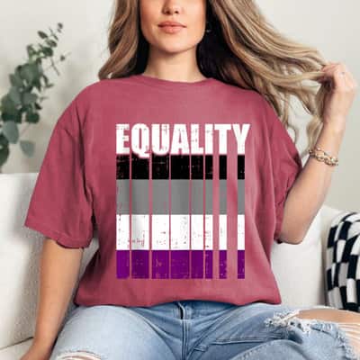 LGBT-Q Equality Asexual Pride LGBT-Q Ally Rainbow Flag T-Shirt