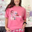 Sugar And Spice And Reproductive Rights Feminist Support T-Shirt
