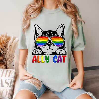 LGBT Ally Cat Be Kind Gay Rainbow Funny LGBTQ T-Shirt